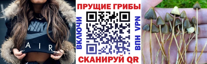 Псилоцибиновые грибы прущие грибы  Купить  Бронницы 
